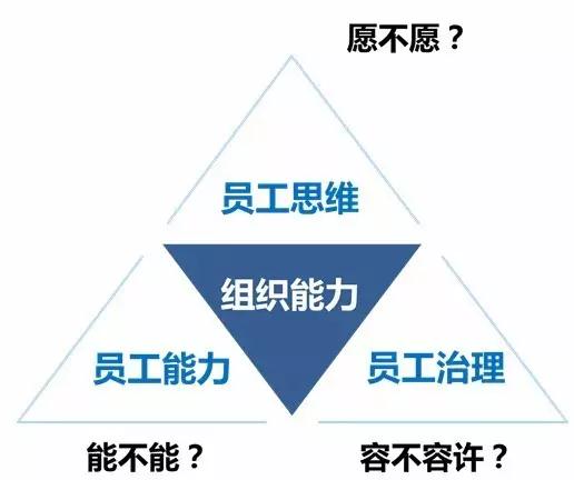 【公开课】杨国安教授的组织能力创新